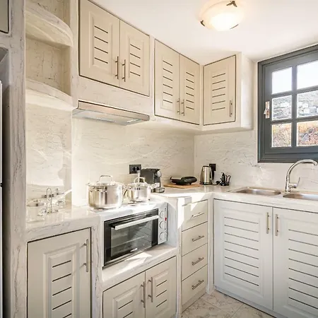 Rhenea 이메로비글리