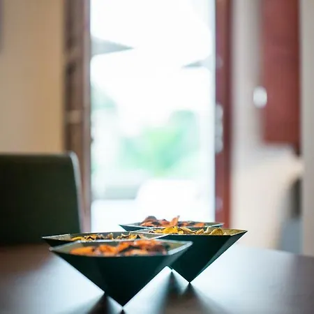 Rhenea * 이메로비글리